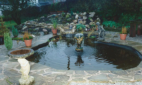 fish_pond