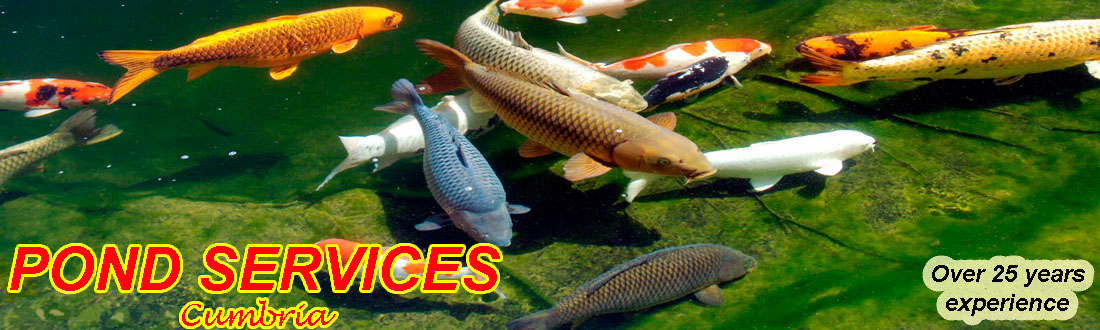 pond-services-uk-header