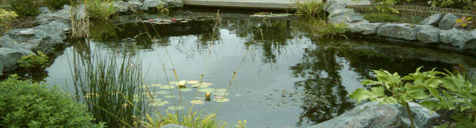 kio-pond