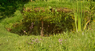 wetland-area-image